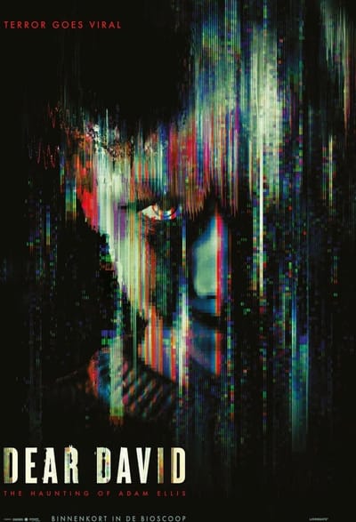 Dear David (DVD)