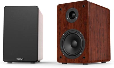 HiFi-luidsprekers 100W - 2-weg bass reflex, surround geluid, compacte 5 inch woofer en 2 inch tweeter