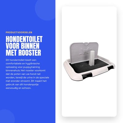 Dailygoods- Hondentoilet met Rooster - Hondenpotje voor Binnen - Puppytraining - Urinemat - Spatwand - Houdt Voeten Droog en Schoon - Hondenbak
