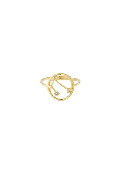 12 zodiac-ringen - Goudkleur