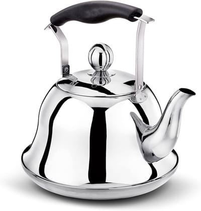 Fluitketel Roestvrij Staal - Theeketel Waterketel - Water Koken - Zilveren Finish - 3L - Zilver