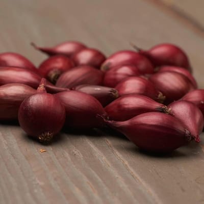 Ui bol om te plant - Uibollen - Red Baron - Bloembollen - 500 gram - Rood - Voor de Moestuin