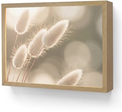Wandlamp 40x30 cm - Oplaadbaar - Hazestaartgras - Wit - Zonlicht - Wandlampen binnen woonkamer - Slaapkamer lamp - Decoratieve nachtlamp - Vloerlamp draadloos