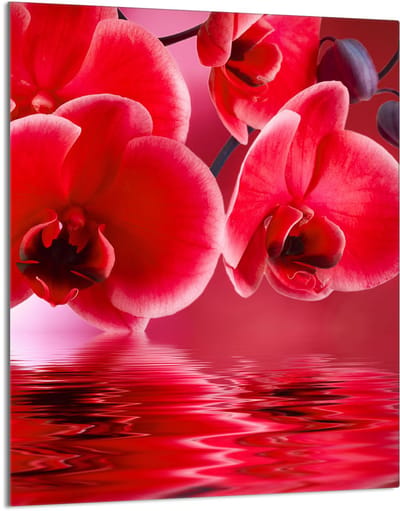 TMK ArtDeko - Snijplank Glas - Orchidea - Roestvrij - 40x52 cm