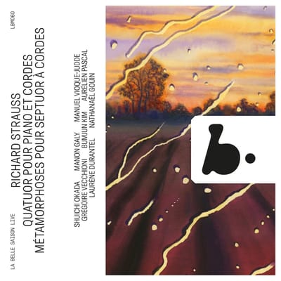 Trio Arnold, Manon Galy, Gregoire Vecchioni, Aurélien Pascal - Strauss: Piano Quartet, Op. 13 Quatuor Pour Piano Et Cordes (CD)