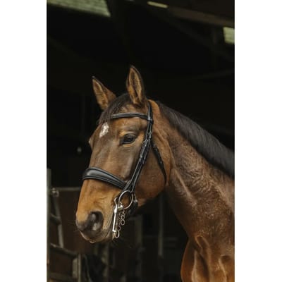 Norton Equestrian Basal Halster Zwart Cob