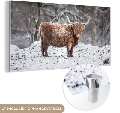MuchoWow® Glasschilderij 40x20 cm - Schilderij acrylglas - Schotse Hooglander - Boom - Sneeuw - Foto op glas - Schilderijen
