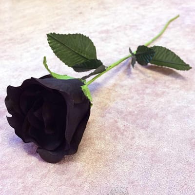 Alchemy - BLACK ROSE Ornament - Zwarte roos - Zwart