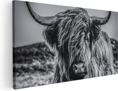 Artaza Canvas Schilderij Schotse Hooglander - 40x20 cm - Klein - Wanddecoratie Woonkamer - Muurdecoratie Dieren - Zwart Wit