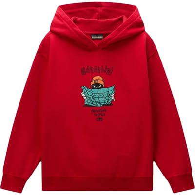 Junior Hoodie Napapijri Flein