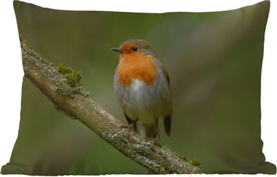 Buitenkussens - Tuin - Vogel - Roodborstje - Tak - Planten - 50x30 cm