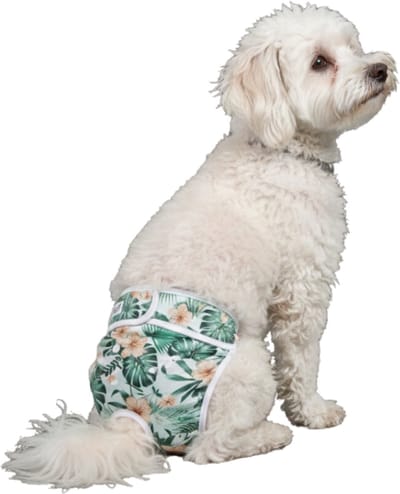 Loopsheidbroekje hond - bloemenprint - maat S - voor kleine honden - herbruikbaar - hondenbroekje - hondenluier - loopsheid - ongesteldheid - voorkomt ongewenste zwangerschappen bij teefjes - milieuvriendelijk - perfecte pasvorm