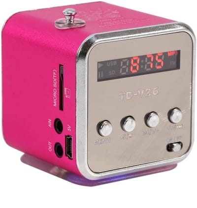 Dailygoody - Mini Music Player - Draagbare FM Radio - Perfect voor Binnen en Buiten - Roze - Ondersteunt TF Kaart - Ideaal voor Feestjes en Reizen