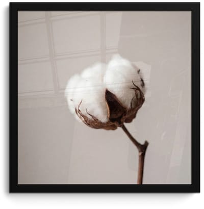 Poster in lijst - Fotolijst 40x40 cm - Posters - Katoenbol - Minimalistisch - Wit - Posterlijst zwart - Decoratie - Wanddecoratie woonkamer - Muurdecoratie slaapkamer