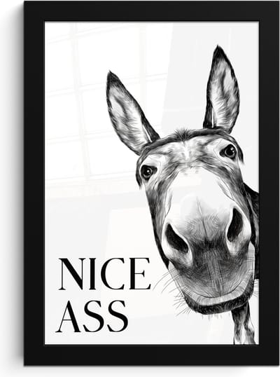 Poster in lijst - Fotolijst 20x30 cm - Posters - Quote - Ezel - Dieren - Nice ass - Spreuken - Posterlijst zwart - Wanddecoratie badkamer - Muurdecoratie WC - Decoratieve accessoires - Toilet muur decoratie