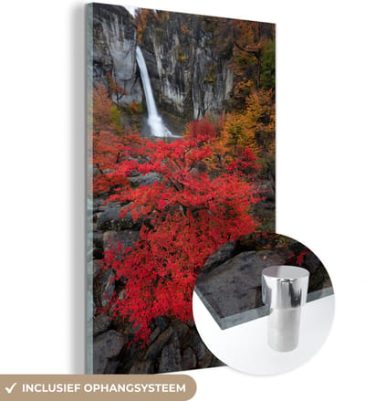 ® Glasschilderij 120x180 cm - Schilderij acrylglas - Kleurrijke planten voor een stromende waterval bij Los Glaciares in Patagonië - Foto op glas - Muurdecoratie woonkamer - Wanddecoratie slaapkamer - Schilderijen
