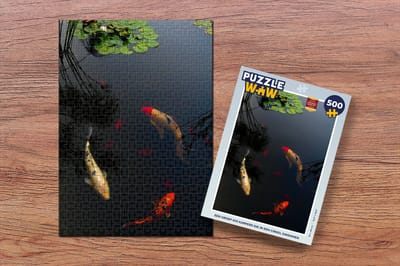 Puzzel Een groep koi karpers die in een cirkel zwemmen - Legpuzzel - Puzzel 500 stukjes