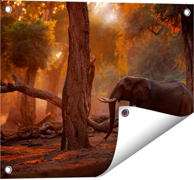 Gards Tuinposter Olifant in het Bos - 50x40 cm - Tuindoek - Tuindecoratie - Wanddecoratie buiten - Tuinschilderij