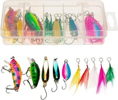 Visset met Aas - Vissen Set - Zoetwater Zoutwater - Afneembare Veren - 20 Delig - Set
