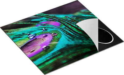 Chefcare Inductie Beschermer Kleurrijke Pauw Veer met Waterdruppels - 60x50 cm - Afdekplaat Inductie - Kookplaat Beschermer - Inductie Mat