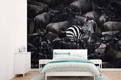 Behang - Fotobehang Zebra - Dieren - Close up - Breedte 415 cm x hoogte 300 cm