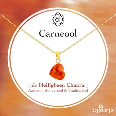 Bixorp Carneool Hartje Ketting - Goud Verguld S925 Zilver + Edelsteen Hanger - Spirituele Chakra Ketting met Cadeau Kaartje - 45cm + 5cm verstelbaar