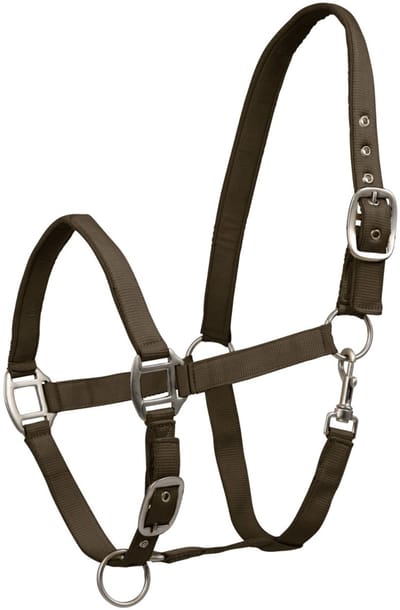 Waldhausen Perlon Halster Satin - Paardenhalster - Groen Warmbloed