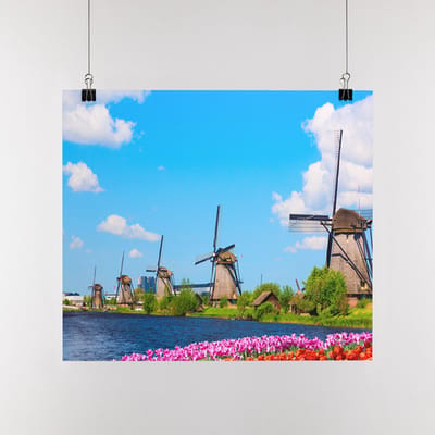 Poster Molens met tulpen, A0, Sunaps posterpapier