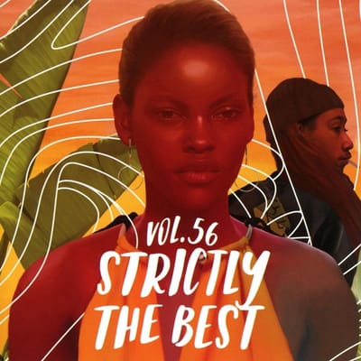 Various Artists - Strictly The Best 56 (CD)