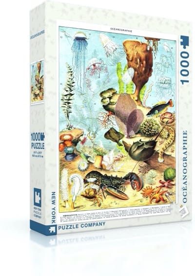 New York Puzzle Company - Vintage Images Océanographie - 1000 stukjes puzzel