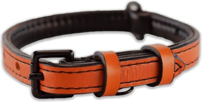 Brute Strength - Luxe leren halsband hond - Oranje - S - (26 - 33 cm) x 1,5cm - honden halsband - hondenhalsband - halsband hond leer - leren honden halsband - halsband kleine hond - halsband puppy - leren hondenhalsband - halsbandje hond