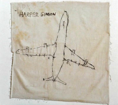 Harper Simon