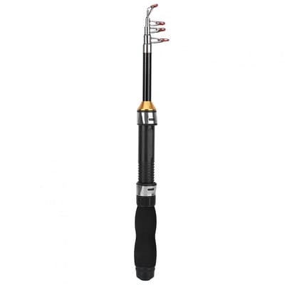 Dailygoods - Kleine Zeevisstok - Mini Draagbare Hengel - Korte Pole - IJs Hengel - Ideaal voor IJsvisserij - Lichtgewicht en Stevig
