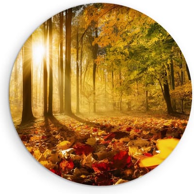 Saammp Muurcirkel Hout - Herfstbladeren met zonsopgang - Landschap - Natuur - Ø 90 - Wandcirkel - Wanddecoratie Cirkel - Muurdecoratie Woonkamer - Slaapkamer decoratie - Rond Schilderij