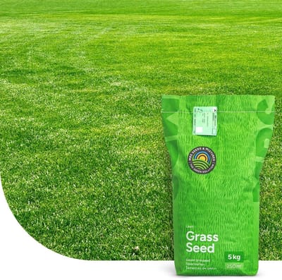 Dailygoods- Graszaad Herstelgazon 1 kg voor 50 m² - Snelkiemend Gras - Droogteresistent - Voor Alle Bodemsoorten - NAK-gecertificeerd - Dichte Zode