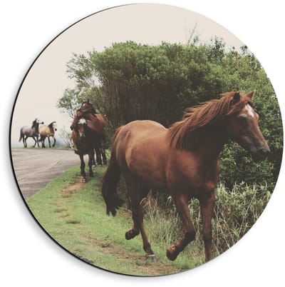 Dibond Wandcirkel - Dravende Paarden op Bergweg - 40x40cm Foto op Aluminium Wandcirkel (met ophangsysteem)