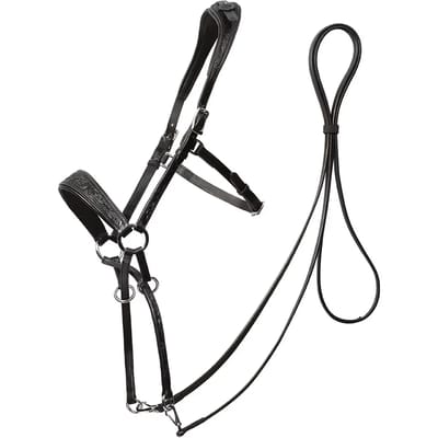 Bitloze hoofdstellen voor paarden Edix Saddles ED1-Rose