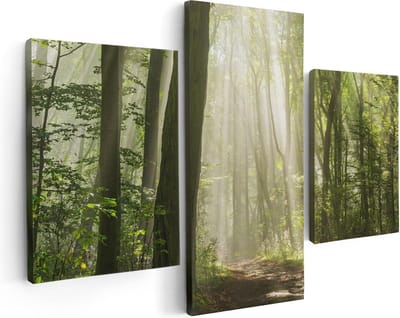 Artaza Canvas Schilderij Drieluik Bos Met Bomen En Zonneschijn - 90x60 cm - Wanddecoratie Woonkamer - Schilderijen - Muurdecoratie