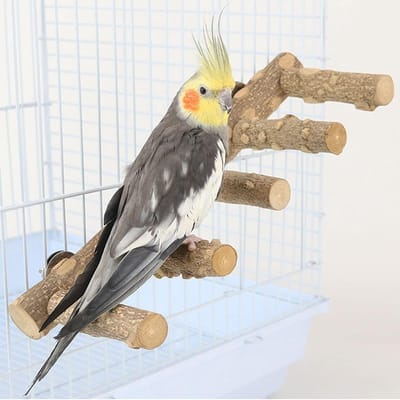 Natuurlijke Houten Vogel Ladder en Kooi Zitstok - Klimspeelgoed voor Papegaaien, Parkieten en Valkparkieten
