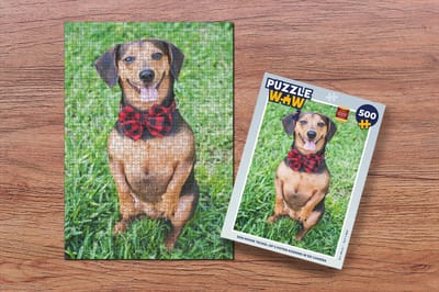 Puzzel Een mooie Teckel op 2 poten kijkend in de camera - Legpuzzel - Puzzel 500 stukjes
