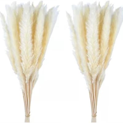 30 Stuks Gedroogd Pampasgras Decoratie Bundel voor Boho Bruiloft en Woondecoratie