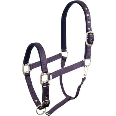 Halster voor paarden BR Equitation Event
