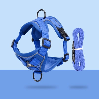 Kattentuig met riem, anti-ontsnapping, verstelbaar harnas met reflecterende strepen - voor katten, kittens, puppy's (M) - veiligheid en comfort in één product-Blauw