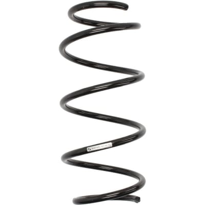 Chassisveer SACHS 993 303
