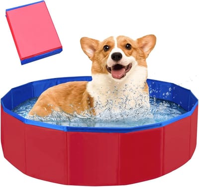 Thijox - Opvouwbaar Hondenzwembad - Draagbaar Zwembad voor Honden & Katten - Antislip PVC - 50 x 8 cm