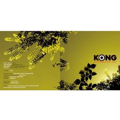 What It Seems Is What You Get - Kong