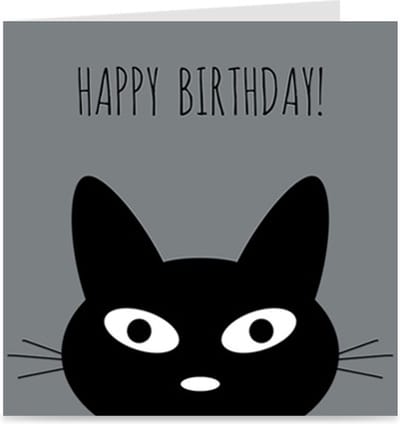 HAPPY BIRTHDAY | verjaardagskaart / wenskaart / kaart met envelop | jarig / verjaardag | poes / kat
