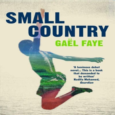 Small Country door Gael Faye Paperback Boek 9781784705930