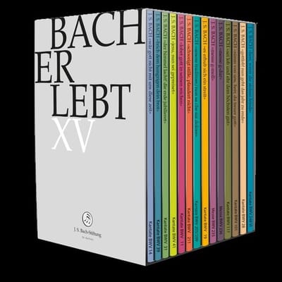 Choir & Orchestra Of The J.S. Bach Foundation, Rudolf Lutz - Bach Erlebt XV (14 DVD)