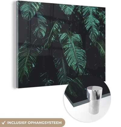 MuchoWow® Glasschilderij 40x30 cm - Schilderij acrylglas - Jungle - Palmboom - Bladeren - Tropisch - Foto op glas - Schilderijen